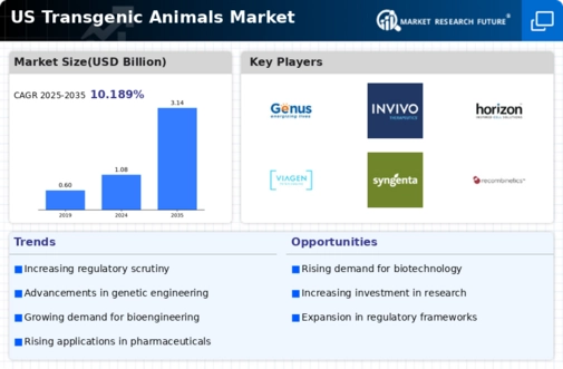 US Transgenic Animals Market Infographic