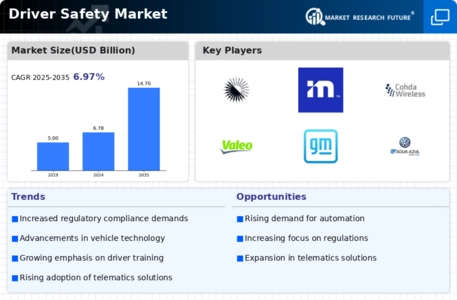 Driver Safety Market Infographic