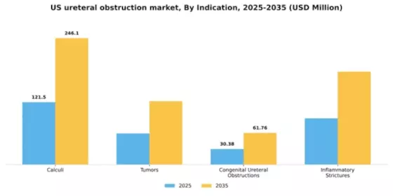 US Ureteral Obstruction Market Segment Image 1