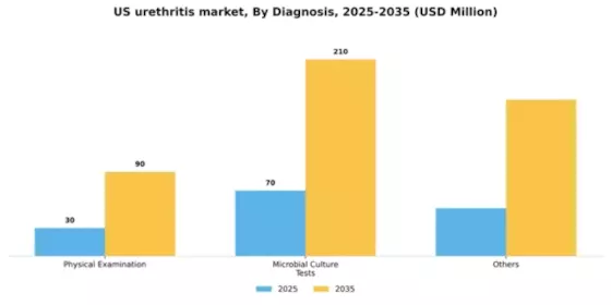 US Urethritis Market Segment Image 0