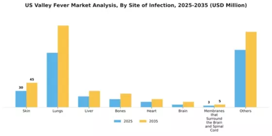 US Valley Fever Market Segment Image 1