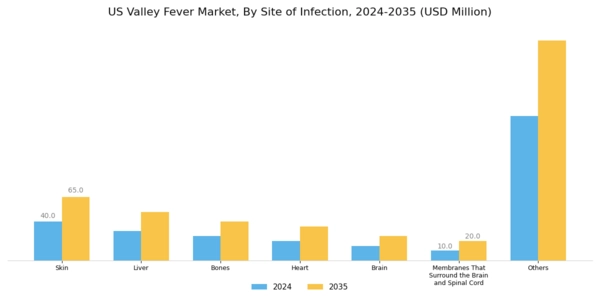 US Valley Fever Market Segment Image 1