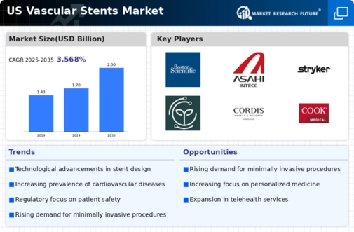 US  Vascular Stents Market Infographic