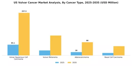 US Vulvar Cancer Market Segment Image 0