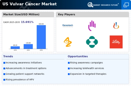 US Vulvar Cancer Market Infographic