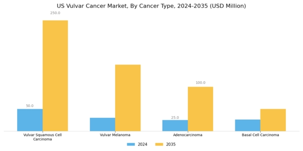 US Vulvar Cancer Market Segment Image 0