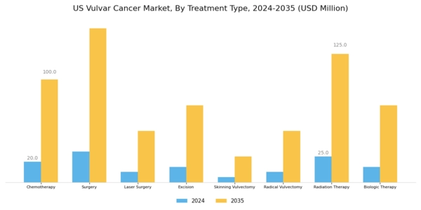 US Vulvar Cancer Market Segment Image 1