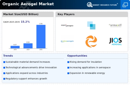 Organic Aerogel Market Infographic