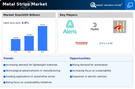Metal Strips Market Infographic