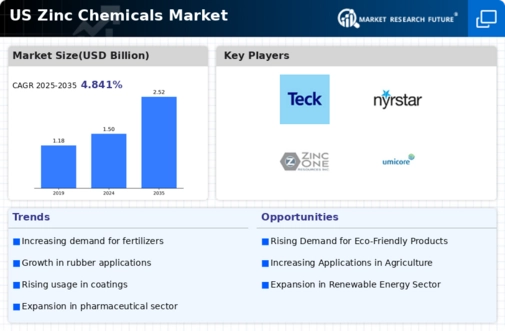 US Zinc Chemicals Market Infographic
