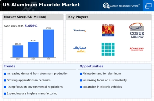 US Aluminum Fluoride Market  Infographic