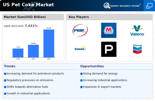 US Pet Coke Market Infographic