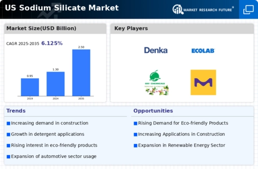 US Sodium Silicate Market Infographic