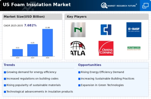 US Foam Insulation Market Infographic