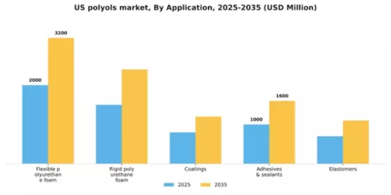 US Polyols Market Segment Image 0