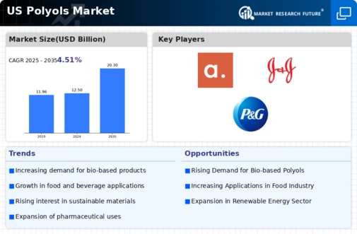 US Polyols Market Infographic