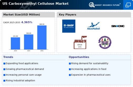 US Carboxymethyl Cellulose Market Infographic