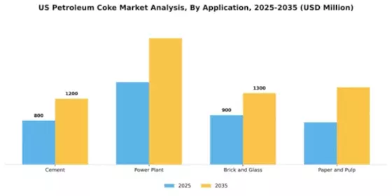 US Petroleum Coke Market Segment Image 0