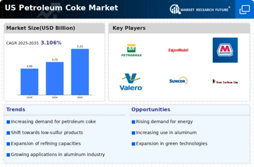 US Petroleum Coke Market Infographic