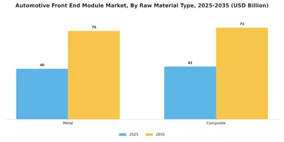 Automotive Front end Module Market Segment Image 1