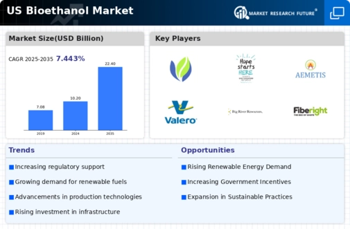 US Bioethanol Market Infographic
