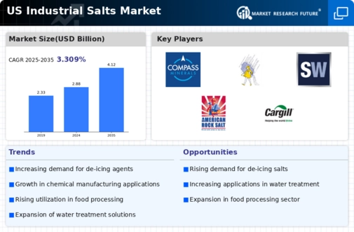 US Industrial Salts Market Infographic