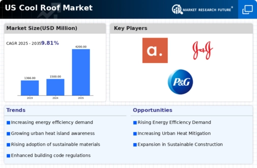 US Cool Roof Market Infographic