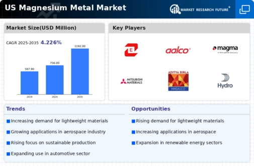US Magnesium Metal Market Infographic