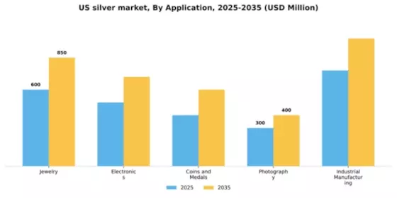US Silver Market Segment Image 0