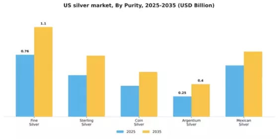 US Silver Market Segment Image 3