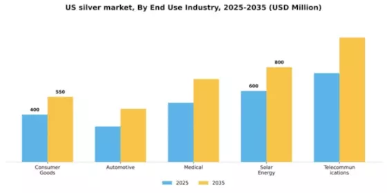 US Silver Market Segment Image 1