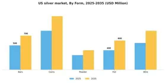 US Silver Market Segment Image 2