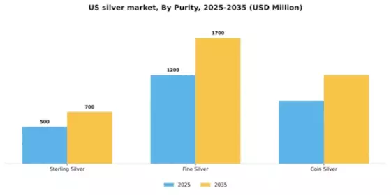 US Silver Market Segment Image 3