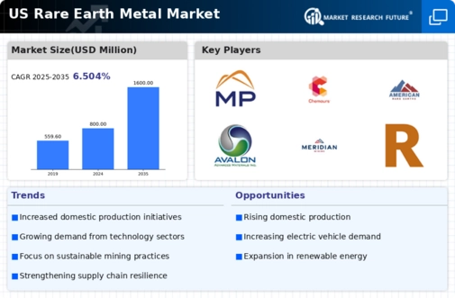 US Rare Earth Metal Market Infographic