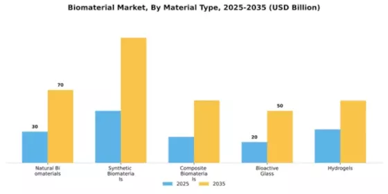 Biomaterial Market Segment Image 2