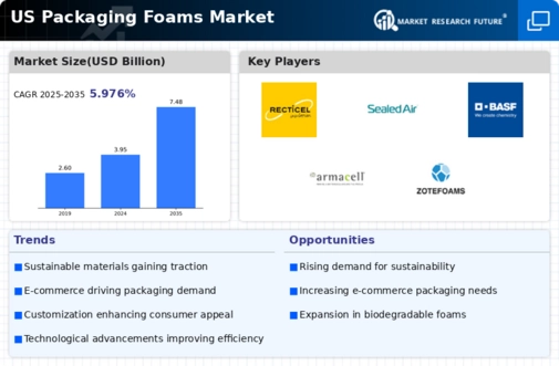 US Packaging Foams Market Infographic