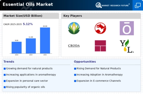 Essential Oils Market Infographic
