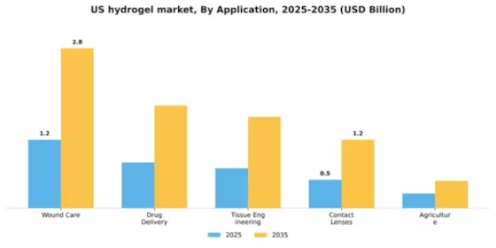 US Hydrogel Market Segment Image 0