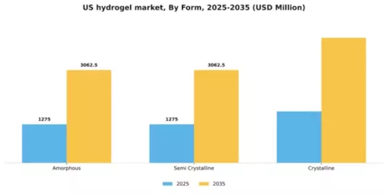 US Hydrogel Market Segment Image 1