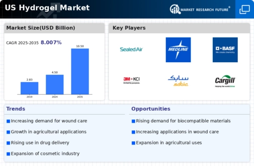 US Hydrogel Market Infographic