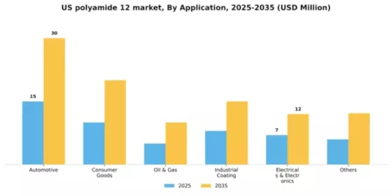 US Polyamide 12 Market  Segment Image 0