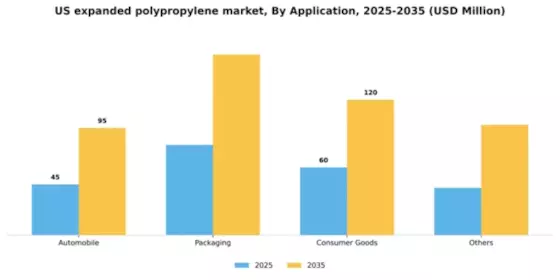 US Expanded Polypropylene Market Segment Image 0