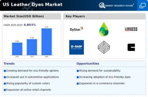 US Leather Dyes Market Infographic