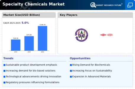 Specialty Chemicals Market Infographic