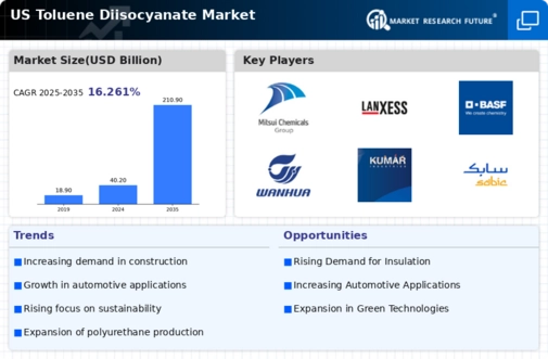 US Toluene Diisocyanates Market Infographic
