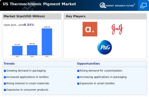 US Thermochromic Pigment Market  Infographic