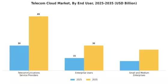 Telecom Cloud Market Segment Image 2