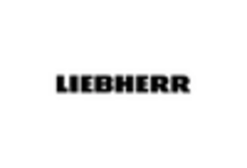 US Static Crane Market key player