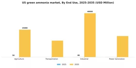 US Green Ammonia Market Segment Image 2