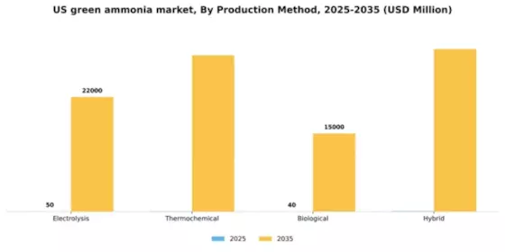 US Green Ammonia Market Segment Image 3